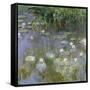 Water Lilies, C1915-Claude Monet-Framed Stretched Canvas