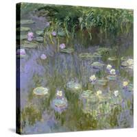 Water Lilies, C1915-Claude Monet-Stretched Canvas