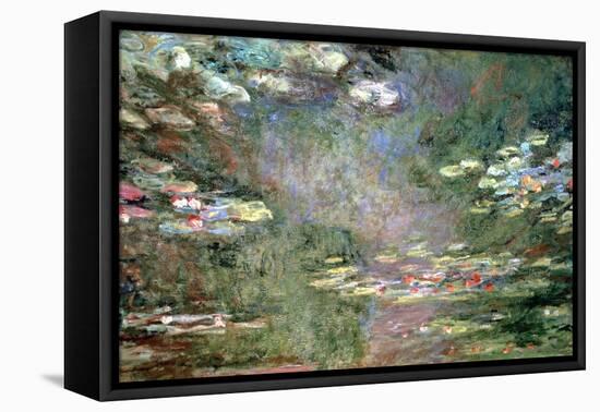 Water Lilies, C1925-Claude Monet-Framed Stretched Canvas