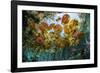 Water lilies, Cenote Nicte-Ha, Yucatan Peninsula, Mexico-Franco Banfi-Framed Photographic Print