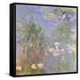 Water-Lilies, Cluster of Grass, 1914-17 (Oil on Canvas)-Claude Monet-Framed Stretched Canvas