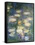 Water Lilies, Detail, 1840-1927-Claude Monet-Framed Stretched Canvas