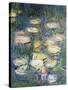 Water Lilies, Detail, 1840-1927-Claude Monet-Stretched Canvas