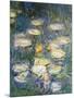 Water Lilies, Detail, 1840-1927-Claude Monet-Mounted Giclee Print