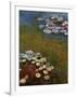 Water Lilies, Harmony in Blue-Claude Monet-Framed Art Print