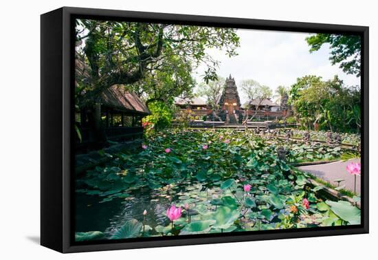 Water Lilies in a Pond at the Pura Taman Saraswati Temple, Ubud, Bali, Indonesia-null-Framed Stretched Canvas