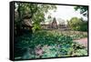 Water Lilies in a Pond at the Pura Taman Saraswati Temple, Ubud, Bali, Indonesia-null-Framed Stretched Canvas