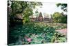 Water Lilies in a Pond at the Pura Taman Saraswati Temple, Ubud, Bali, Indonesia-null-Stretched Canvas