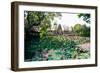 Water Lilies in a Pond at the Pura Taman Saraswati Temple, Ubud, Bali, Indonesia-null-Framed Photographic Print