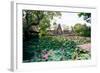 Water Lilies in a Pond at the Pura Taman Saraswati Temple, Ubud, Bali, Indonesia-null-Framed Photographic Print