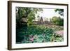 Water Lilies in a Pond at the Pura Taman Saraswati Temple, Ubud, Bali, Indonesia-null-Framed Photographic Print