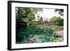 Water Lilies in a Pond at the Pura Taman Saraswati Temple, Ubud, Bali, Indonesia-null-Framed Photographic Print