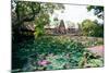 Water Lilies in a Pond at the Pura Taman Saraswati Temple, Ubud, Bali, Indonesia-null-Mounted Photographic Print
