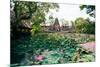 Water Lilies in a Pond at the Pura Taman Saraswati Temple, Ubud, Bali, Indonesia-null-Mounted Photographic Print