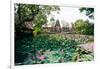 Water Lilies in a Pond at the Pura Taman Saraswati Temple, Ubud, Bali, Indonesia-null-Framed Photographic Print