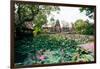 Water Lilies in a Pond at the Pura Taman Saraswati Temple, Ubud, Bali, Indonesia-null-Framed Photographic Print