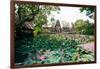 Water Lilies in a Pond at the Pura Taman Saraswati Temple, Ubud, Bali, Indonesia-null-Framed Photographic Print