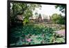 Water Lilies in a Pond at the Pura Taman Saraswati Temple, Ubud, Bali, Indonesia-null-Framed Photographic Print