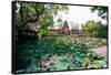 Water Lilies in a Pond at the Pura Taman Saraswati Temple, Ubud, Bali, Indonesia-null-Framed Stretched Canvas