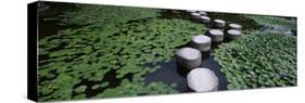 Water Lilies in a Pond, Helan Shrine, Kyoto, Japan-null-Stretched Canvas