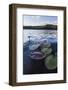 Water Lilies in Lang Pond in Maine's Northern Forest-Jerry & Marcy Monkman-Framed Photographic Print