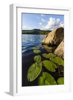 Water Lilies in Lang Pond in Maine's Northern Forest-Jerry & Marcy Monkman-Framed Photographic Print