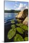 Water Lilies in Lang Pond in Maine's Northern Forest-Jerry & Marcy Monkman-Mounted Photographic Print