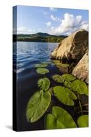 Water Lilies in Lang Pond in Maine's Northern Forest-Jerry & Marcy Monkman-Stretched Canvas