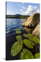 Water Lilies in Lang Pond in Maine's Northern Forest-Jerry & Marcy Monkman-Stretched Canvas