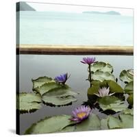 Water lilies in pond by ocean-null-Stretched Canvas