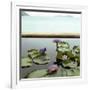 Water lilies in pond by ocean-null-Framed Photographic Print