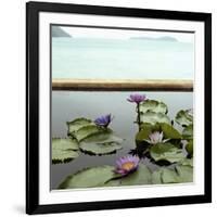 Water lilies in pond by ocean-null-Framed Photographic Print