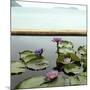 Water lilies in pond by ocean-null-Mounted Photographic Print