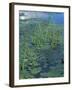 Water Lilies, New Hampshire, USA-Jerry & Marcy Monkman-Framed Photographic Print