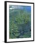 Water Lilies, New Hampshire, USA-Jerry & Marcy Monkman-Framed Photographic Print