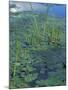 Water Lilies, New Hampshire, USA-Jerry & Marcy Monkman-Mounted Photographic Print