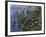 Water Lilies (Nympheas), 1918/1921-Claude Monet-Framed Giclee Print