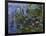 Water Lilies (Nympheas), 1918/1921-Claude Monet-Framed Giclee Print