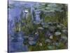 Water Lilies (Nympheas), 1918/1921-Claude Monet-Stretched Canvas
