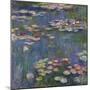 Water Lilies (Nymphéas), c.1916-Claude Monet-Mounted Premium Giclee Print