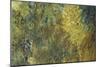 Water Lilies, Nympheas, c.1917-Claude Monet-Mounted Giclee Print