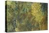 Water Lilies, Nympheas, c.1917-Claude Monet-Stretched Canvas