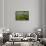 Water lilies, Okavango Delta, Botswana, Africa-David Wall-Framed Stretched Canvas displayed on a wall