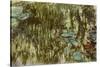 Water Lilies, Reflected Willow, circa 1920-Claude Monet-Stretched Canvas