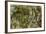 Water Lilies, Reflected Willow, circa 1920-Claude Monet-Framed Giclee Print