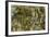 Water Lilies, Reflected Willow, circa 1920-Claude Monet-Framed Giclee Print