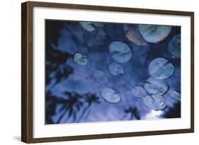 Water Lilies with Reflected Palms-Walter Bibikow-Framed Photographic Print