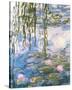 Water Lilies-Claude Monet-Stretched Canvas