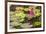 Water-Lilies-Michael Nolan-Framed Photographic Print