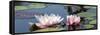 Water Lilies-Michael Shake-Framed Stretched Canvas